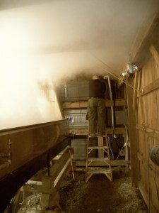 The ladder to success