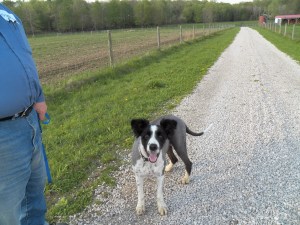 OMG...My new haircut