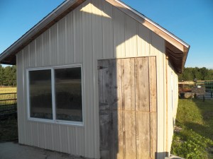 Pig Barn contrast between wood and steel