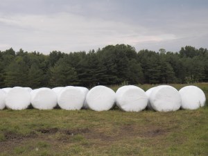 My progress after the last 3 days