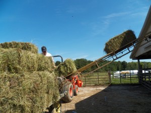 Jake loads the elevator