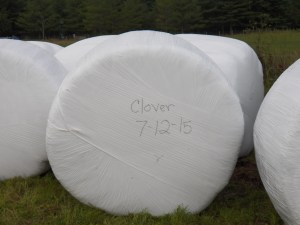 Bagged and tagged...nice!