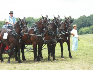 4-horse hitch on a powercart and round baler