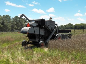 Gleaner E...for Excellant