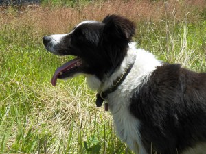 Great is thy faithfulness