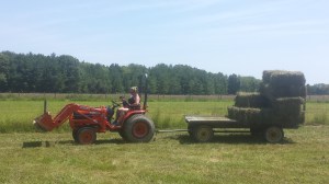 My almost 1-year old grandson helping with the harvest