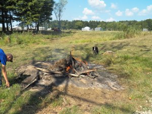 There is always something to do!