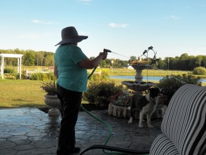 Spray me with the hose mom