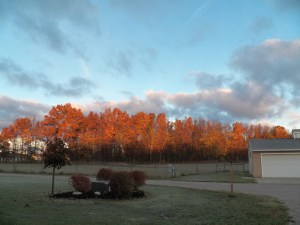 The growing season ends