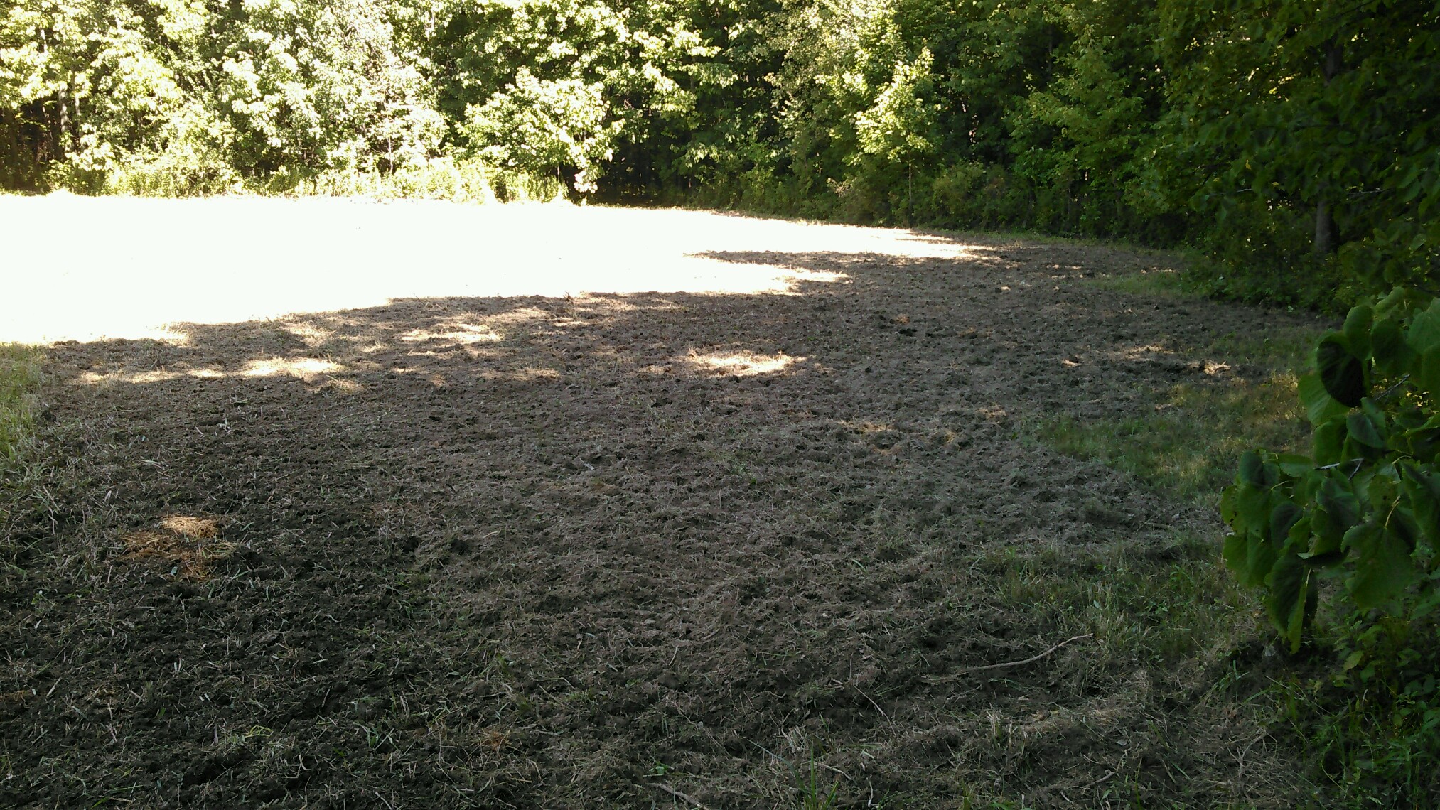 Plotting for Deer – RicelandMeadows