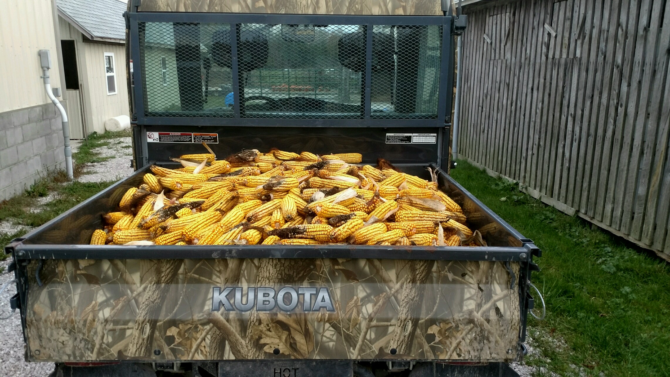 2016corn