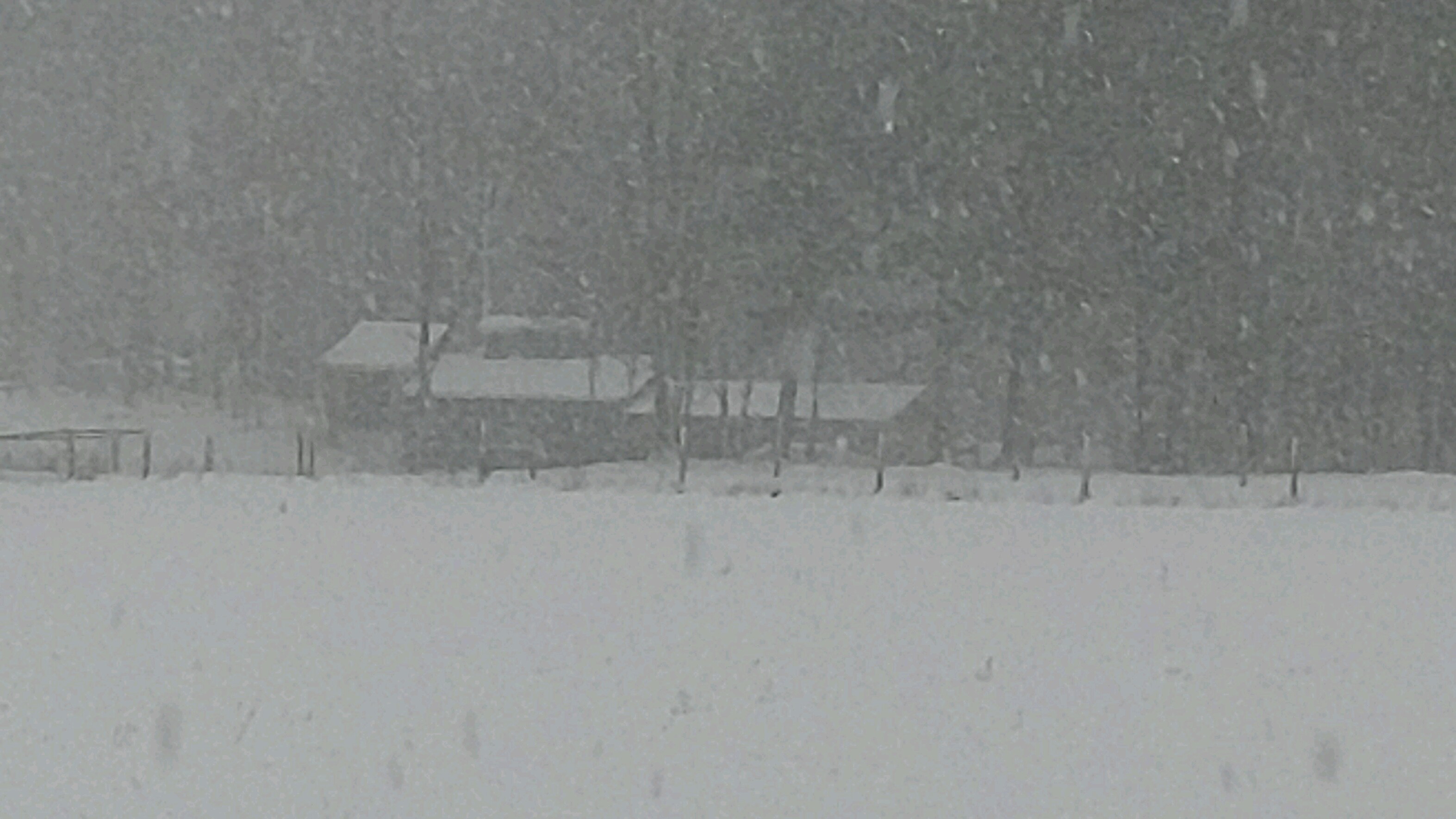sugarhousesnow