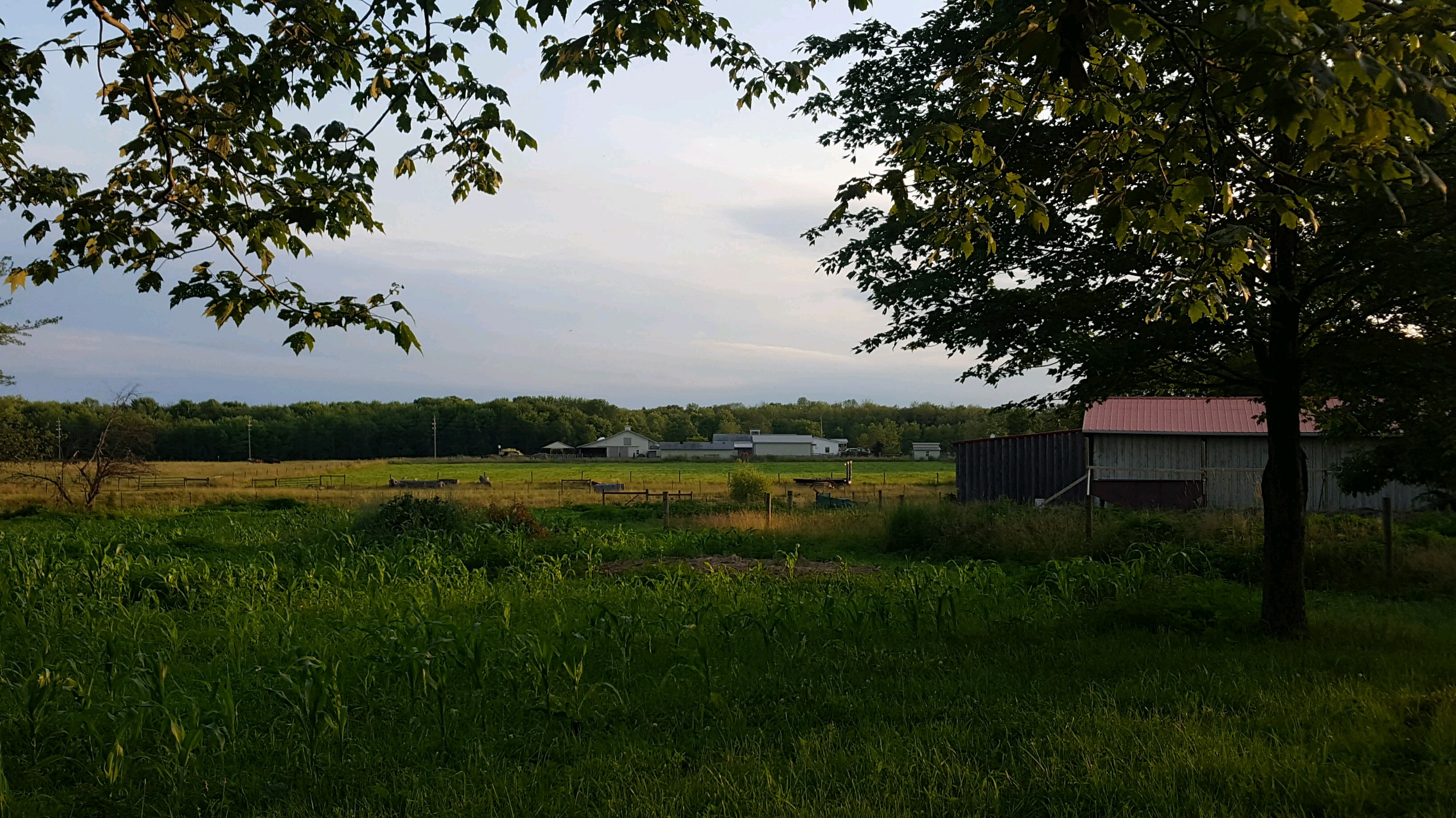 backendfarm