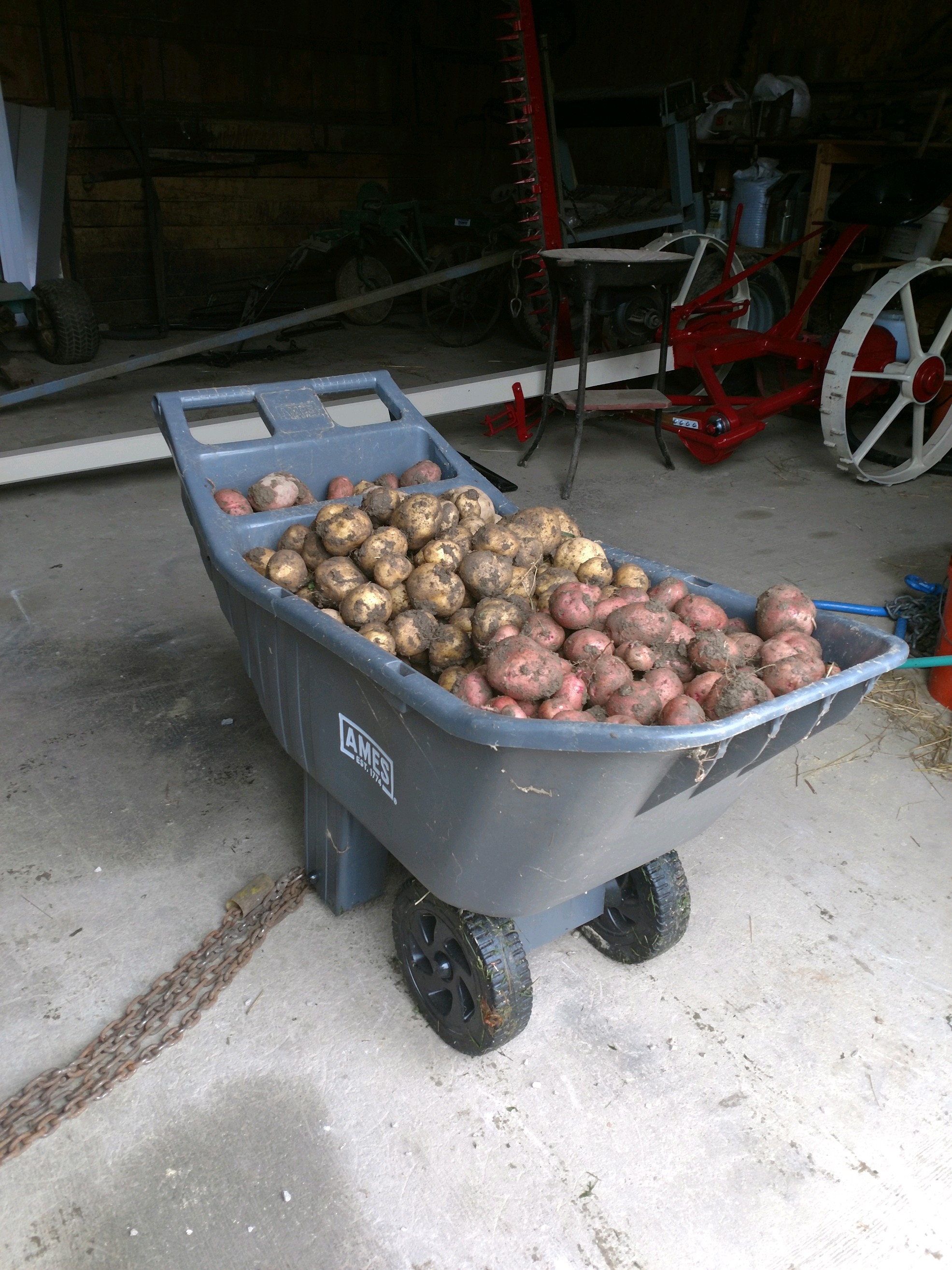 potatoes2018