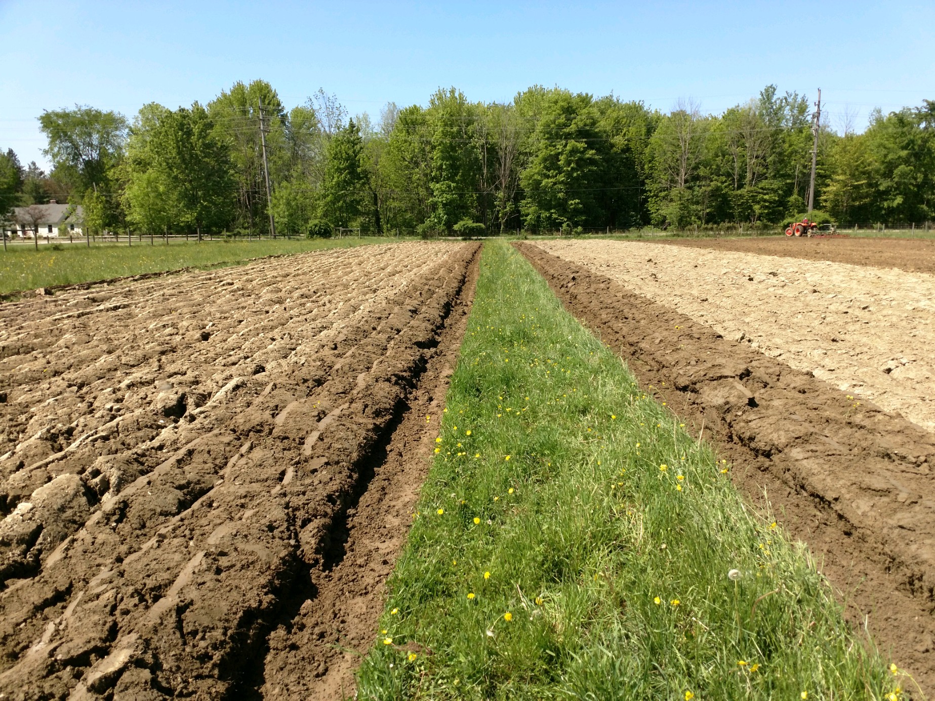 cornplanting22019