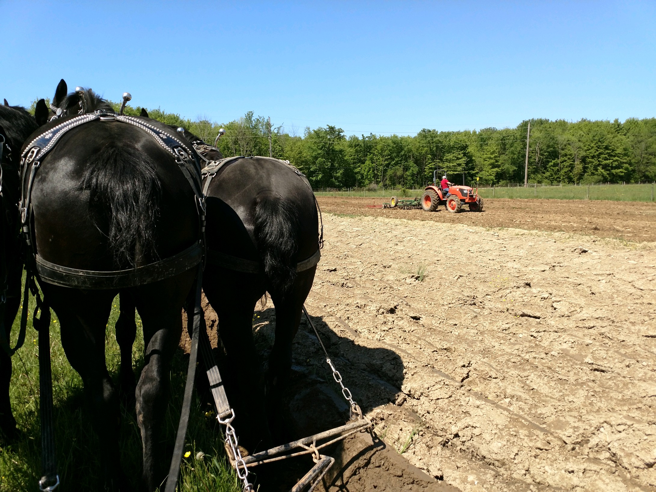cornplanting42019