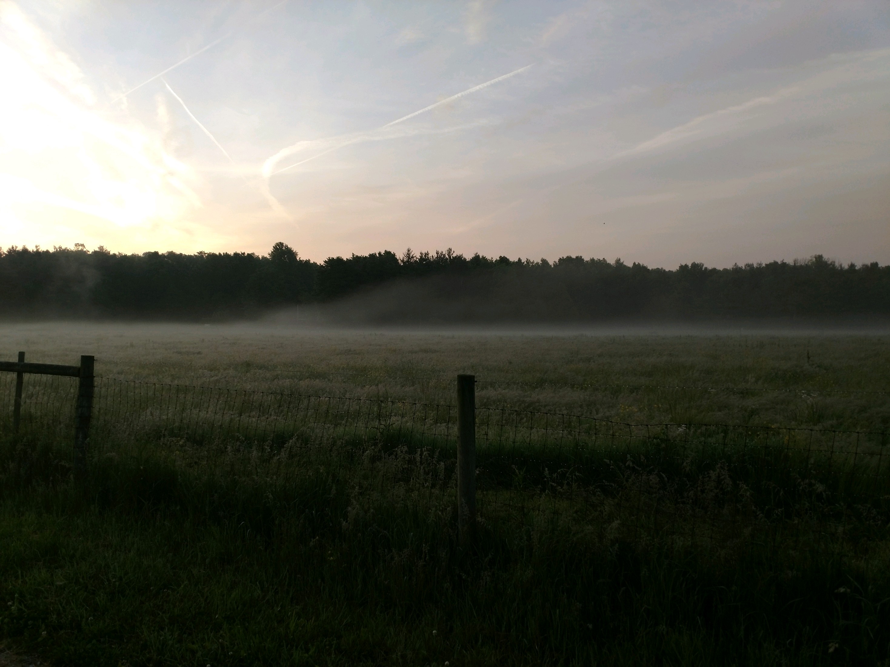 foggysunrise