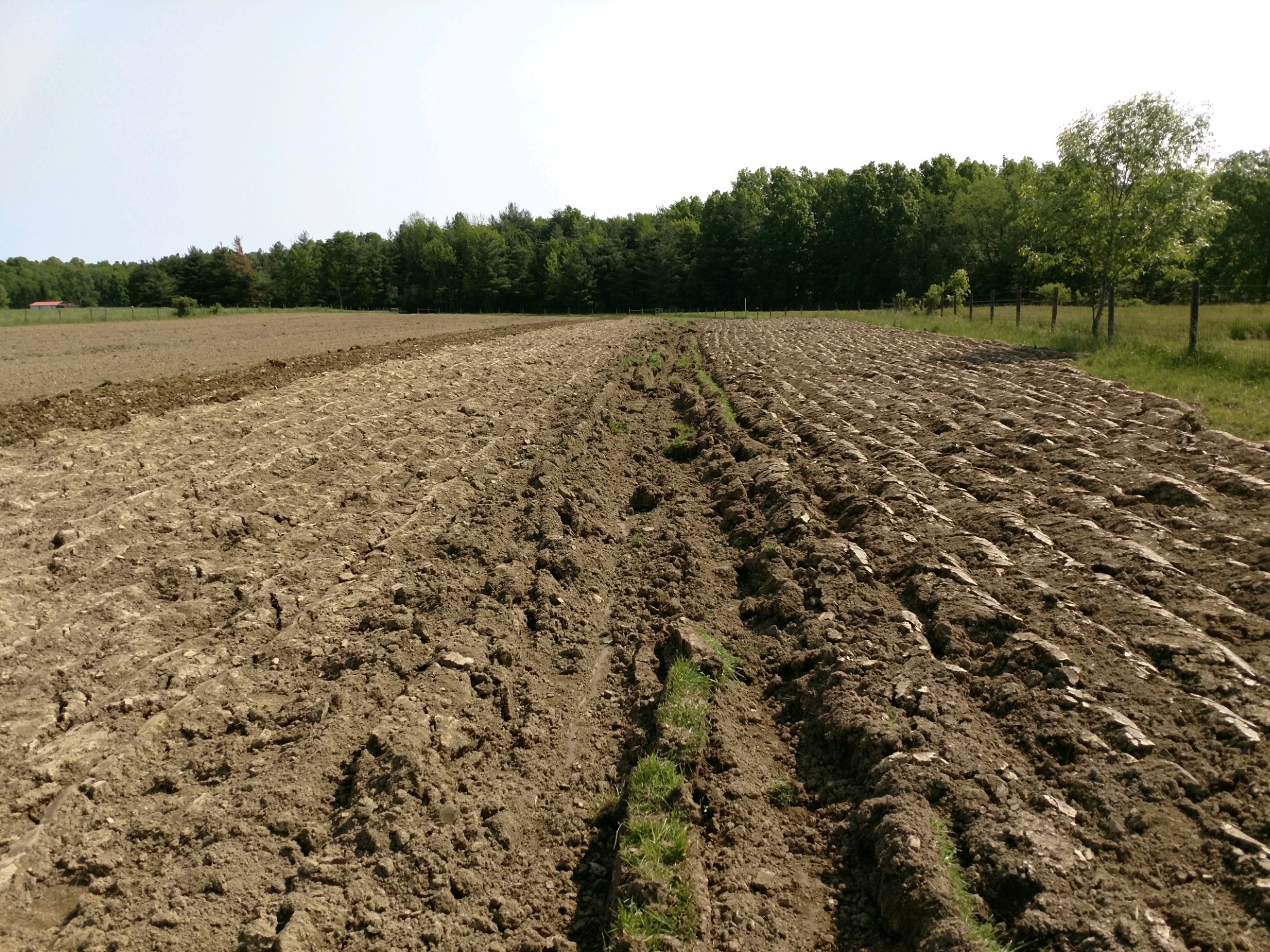 RFDplow11
