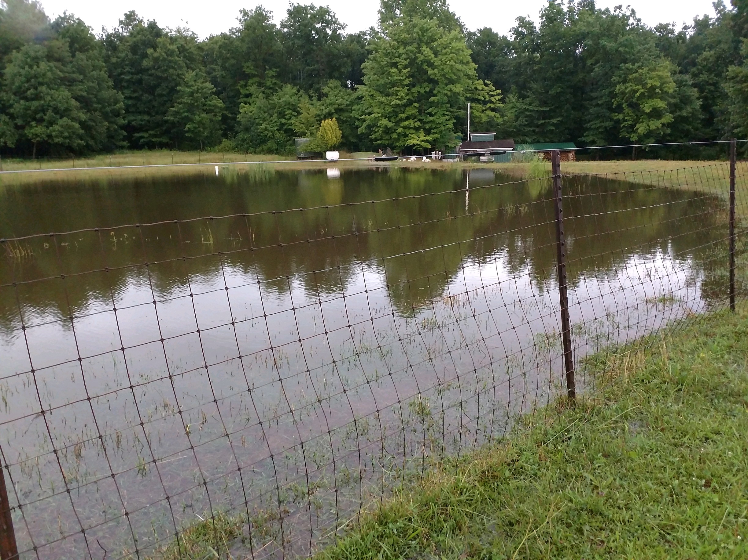 pondflood2019