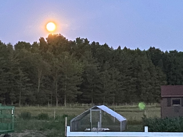 july42020moon