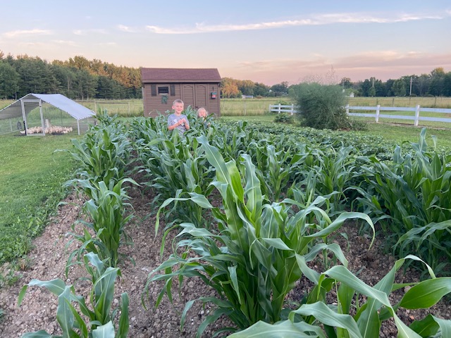 KK&amp;corn2020